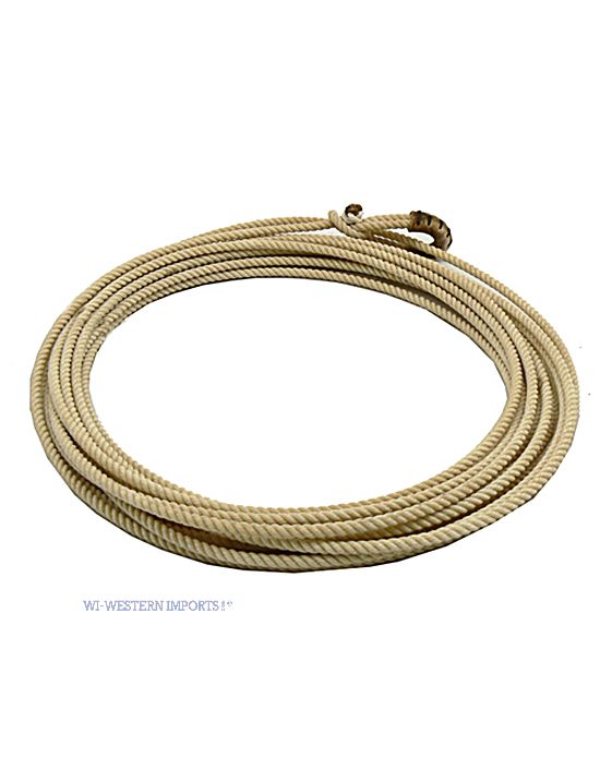 Lasso LR