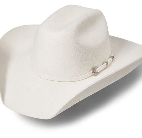 Kapelusz Stars & Stripes Wyoming Silverbelly