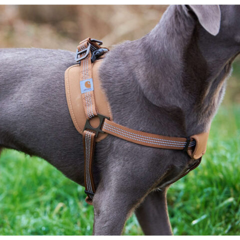 Szelki Treningowe Dla Psa Carhartt Training Harness