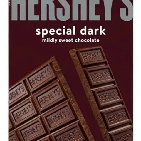 Hershey's GiANT Special Dark Mildly Sweet Chocolate